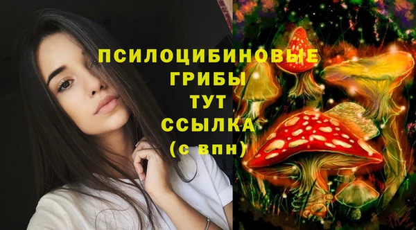 шишки Володарск