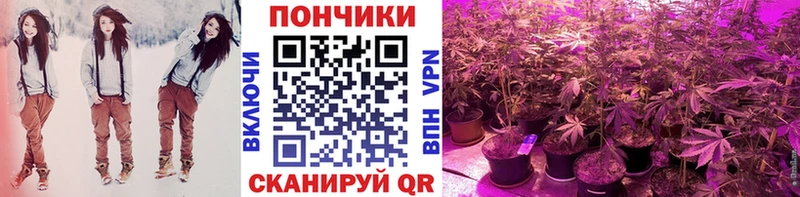 где найти наркотики  Камышлов  Бошки Шишки VHQ 